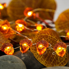 Wholesale Acorn Lights String Battery Powered Thanksgiving Lights