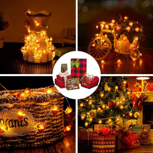 Wholesale Acorn Lights String Battery Powered Thanksgiving Lights