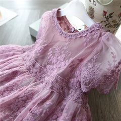 Summer Girl Dress Casual Baby Girls Clothes Kids Dresses For Girls