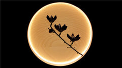 Beech Moon LED Lamp