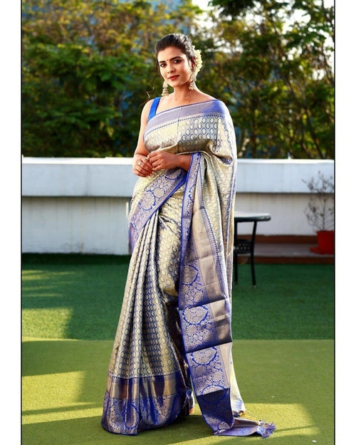 Blue Deginer Saree